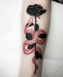 Screenshot_20220822-124753_Instagram[1]