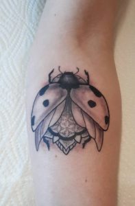 Screenshot_20220822-124831_Instagram[1]